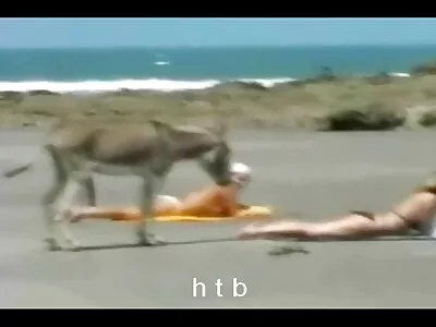 Жена с червена коса помага на съквартиранта да достигне най баби секс -яркия оргазъм